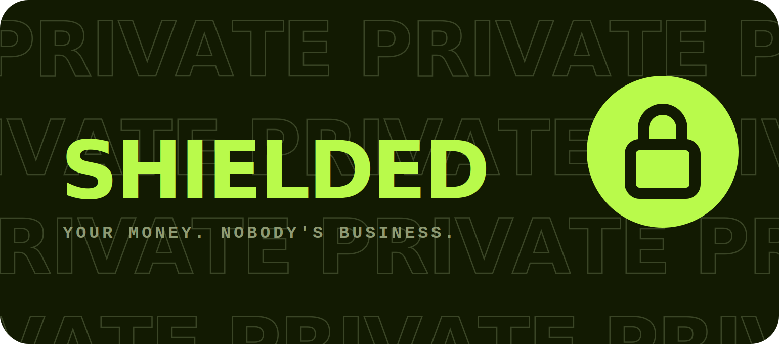 Private Payments for Business: Your Cash Position Shouldn't Be Public