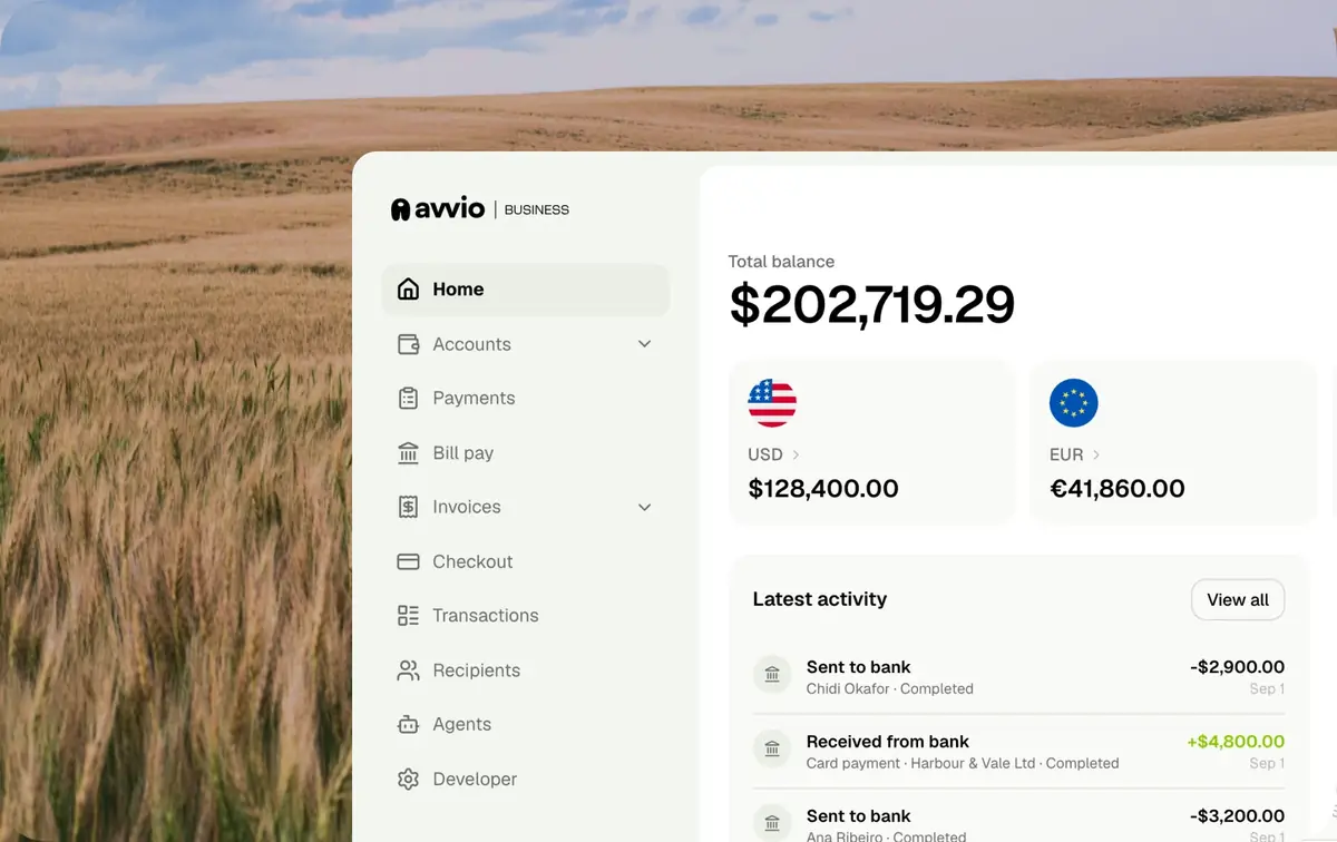 Avvio Business dashboard with multi-currency balances